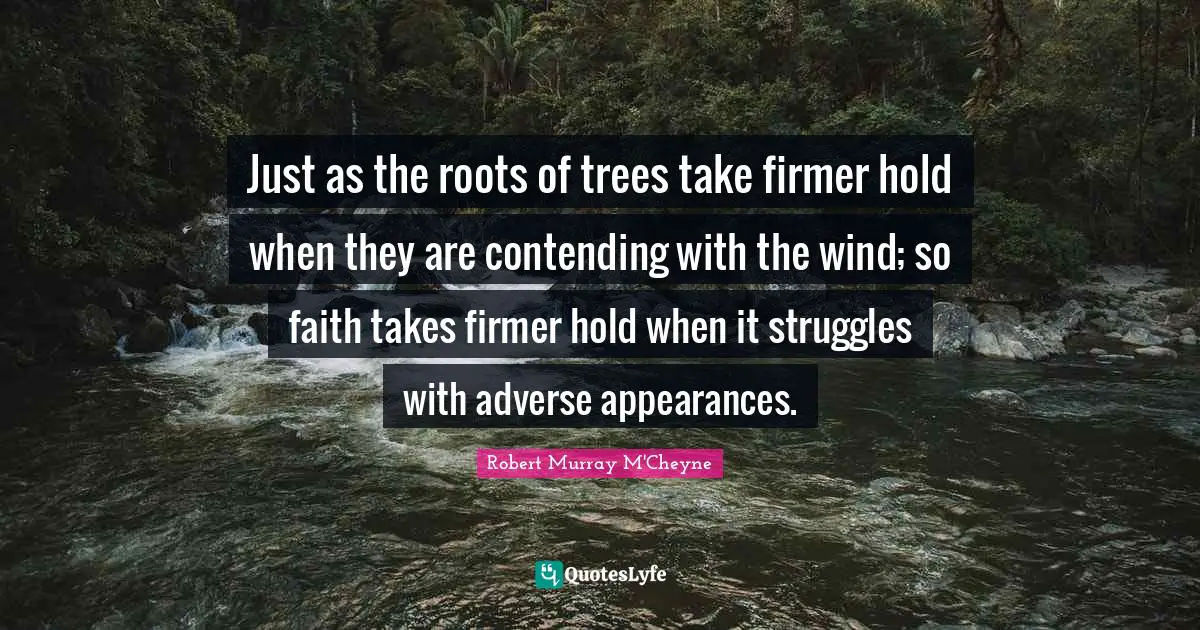 Just as the roots of trees take firmer hold when they are contending with the wind; so faith takes firmer hold when it struggles with adverse appearances.