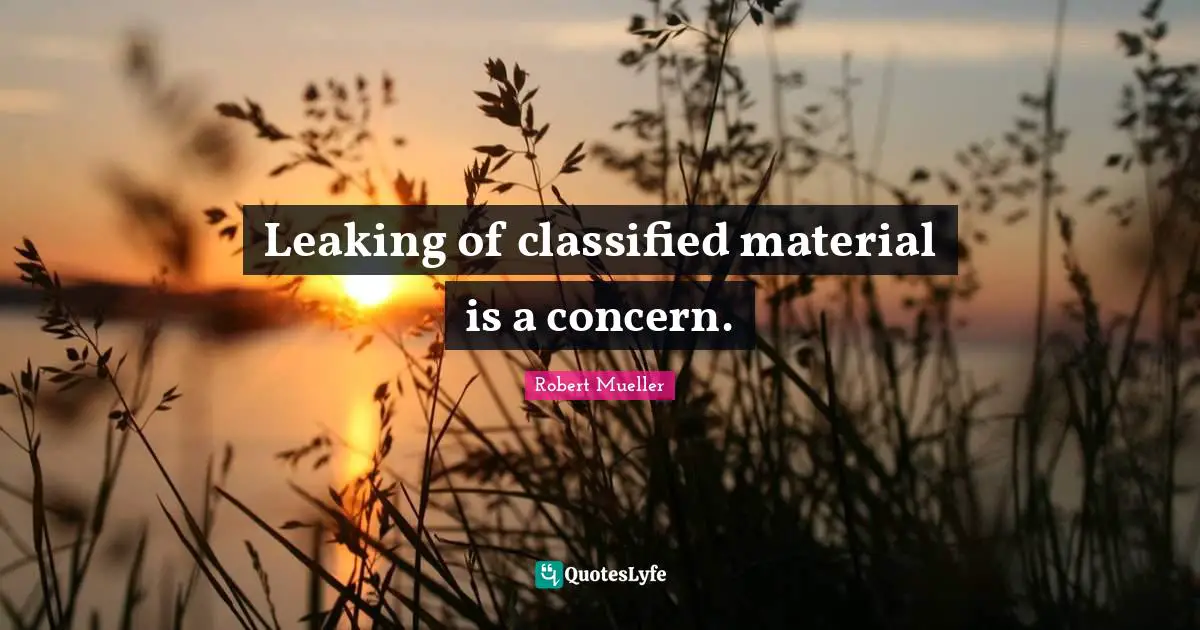 Leaking of classified material is a concern.