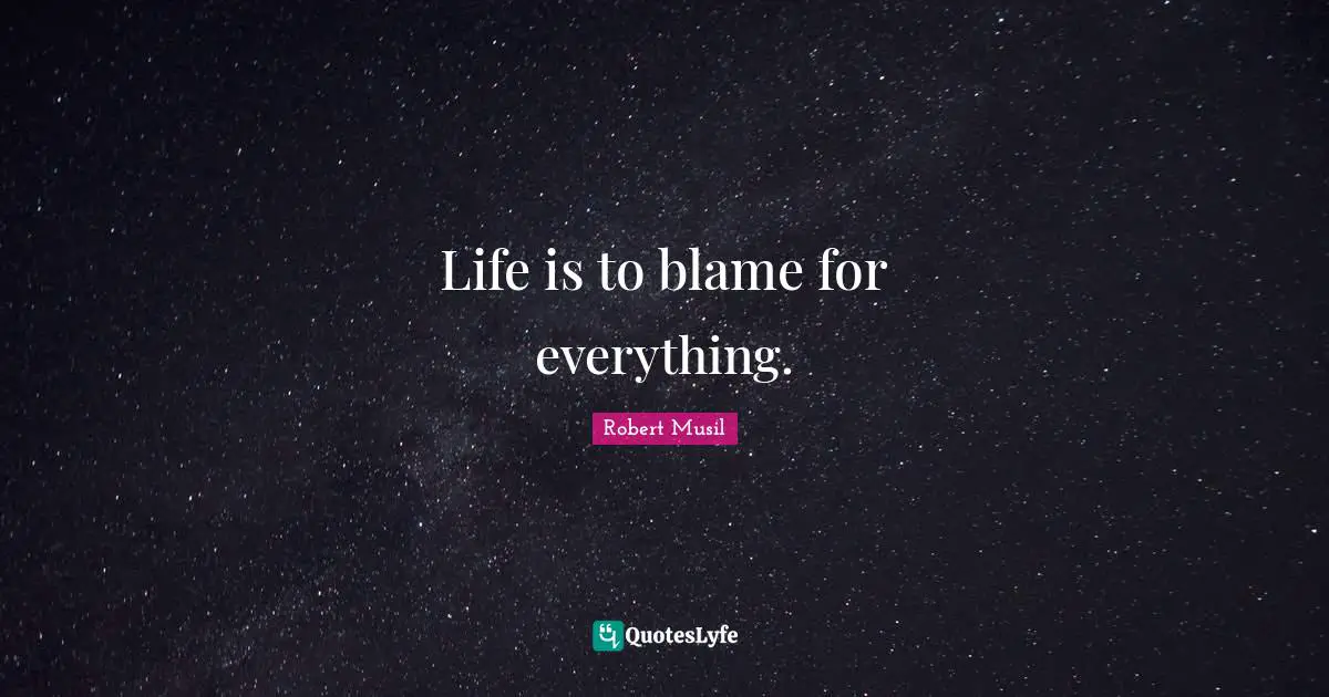 Robert Musil Quotes: "Life is to blame for everything."