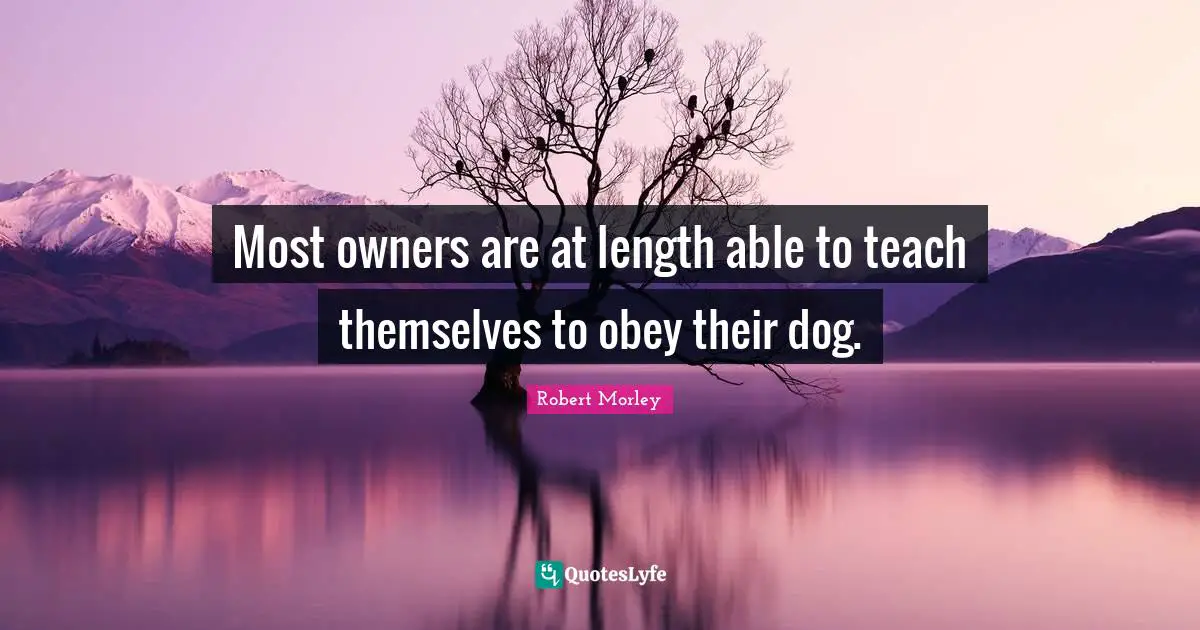 Most owners are at length able to teach themselves to obey their dog.