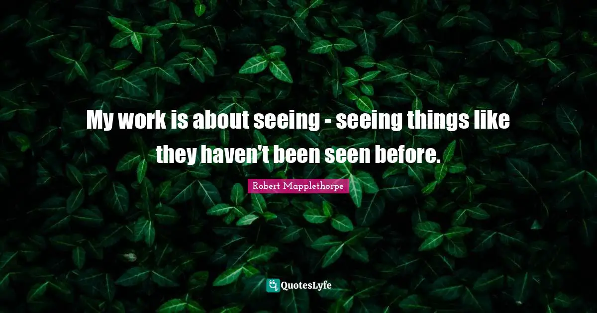 Havens Quotes: "My work is about seeing - seeing things like they haven't been seen before."