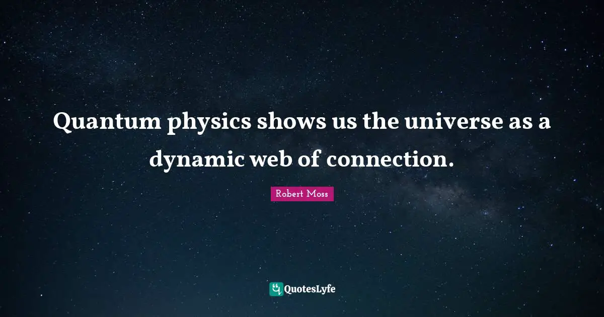 Quantum physics shows us the universe as a dynamic web of connection.