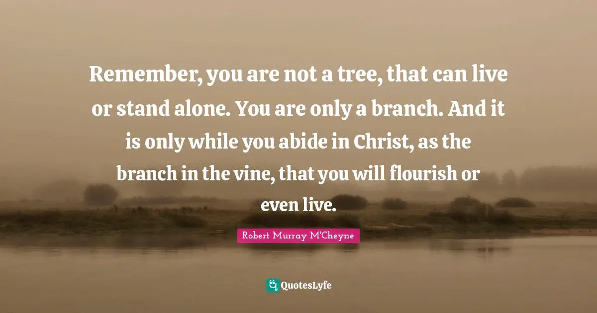 Tree Quotes: "Remember, you are not a tree, that can live or stand alone. You are only a branch. And it is only while you abide in Christ, as the branch in the vine, that you will flourish or even live."