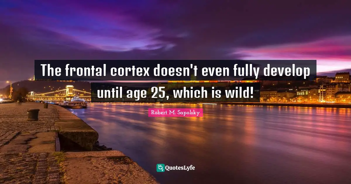 Robert M. Sapolsky Quotes: "The frontal cortex doesn't even fully develop until age 25, which is wild!"