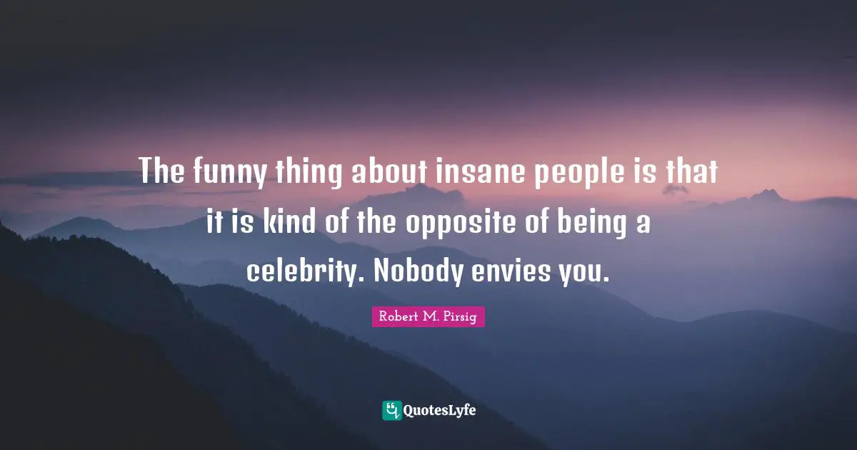 The funny thing about insane people is that it is kind of the opposite of being a celebrity. Nobody envies you.