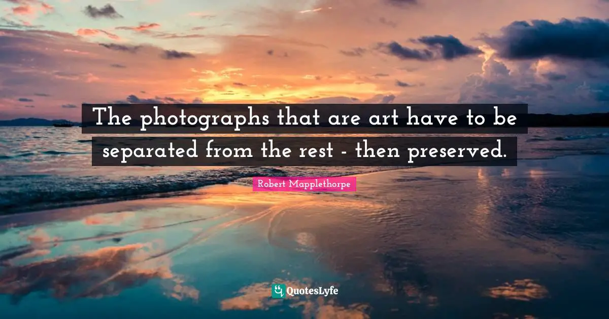 The photographs that are art have to be separated from the rest - then preserved.