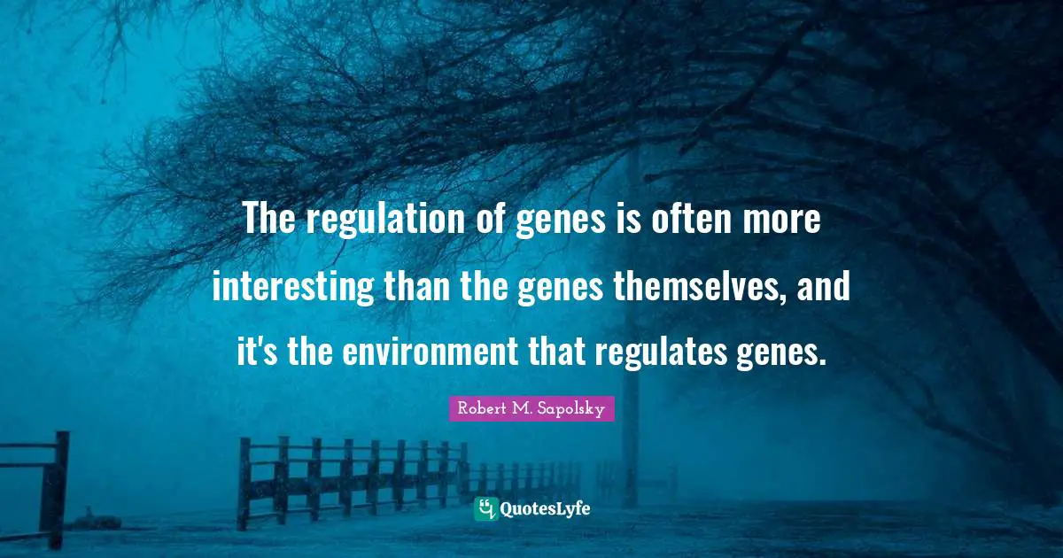 Regulation Quotes: "The regulation of genes is often more interesting than the genes themselves, and it's the environment that regulates genes."