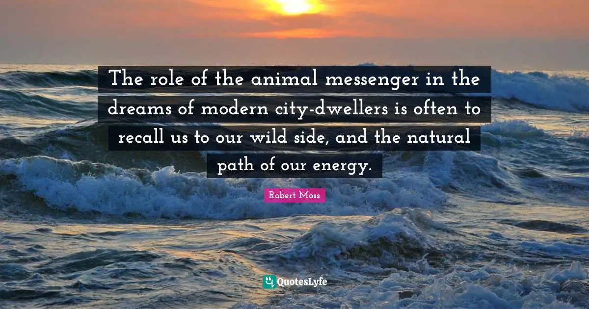 The role of the animal messenger in the dreams of modern city-dwellers is often to recall us to our wild side, and the natural path of our energy.