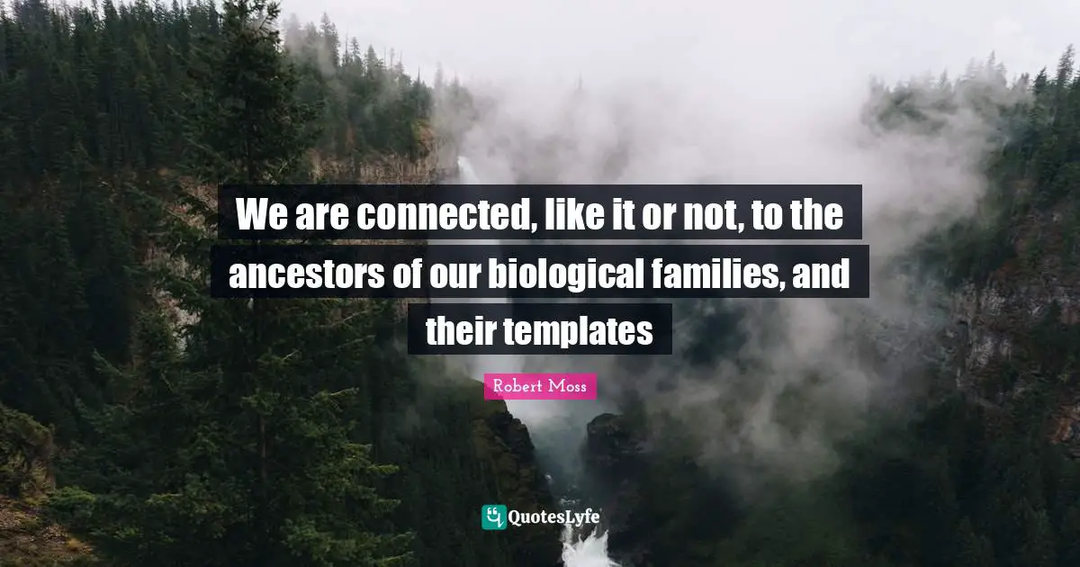 We are connected, like it or not, to the ancestors of our biological families, and their templates