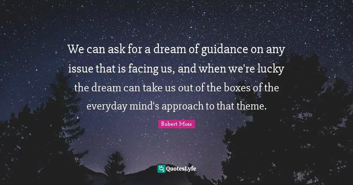 We can ask for a dream of guidance on any issue that is facing us, and when we're lucky the dream can take us out of the boxes of the everyday mind's approach to that theme.