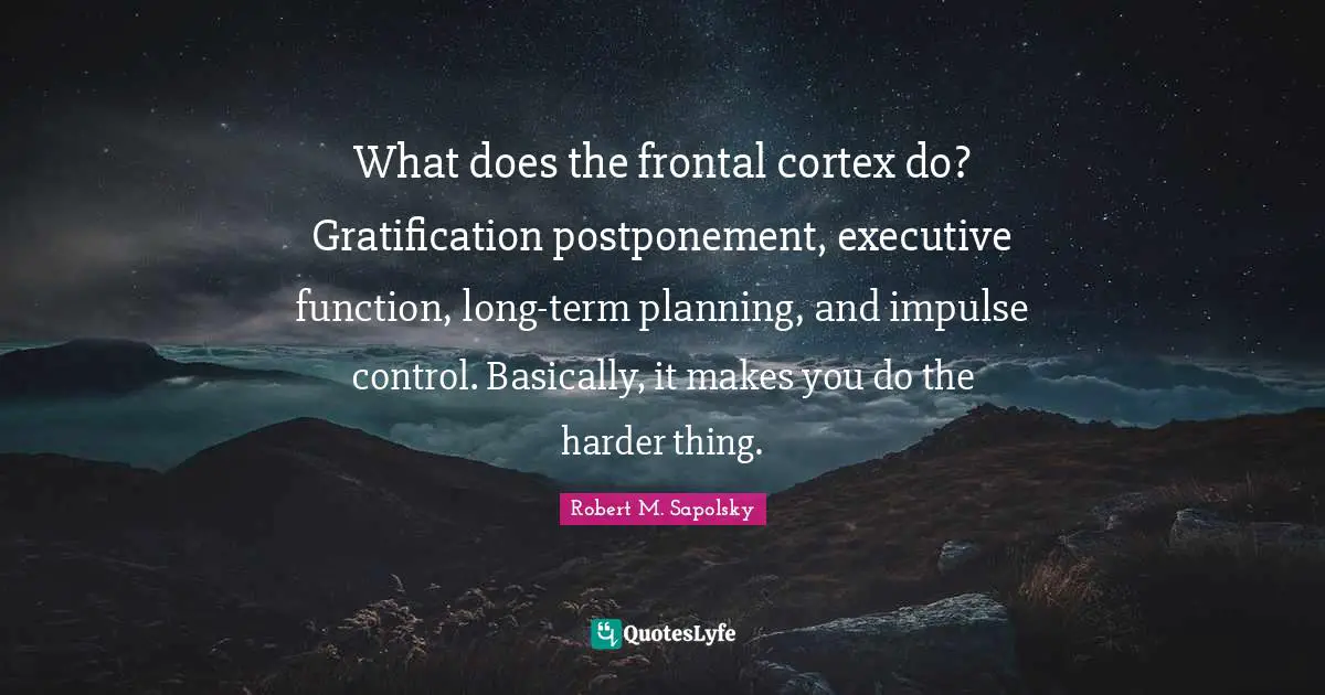 What does the frontal cortex do? Gratification postponement, executive function, long-term planning, and impulse control. Basically, it makes you do the harder thing.