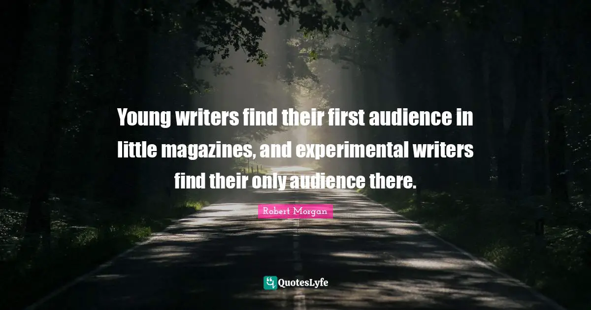 Young writers find their first audience in little magazines, and experimental writers find their only audience there.