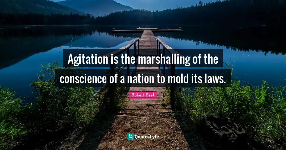Conscience Quotes: "Agitation is the marshalling of the conscience of a nation to mold its laws."