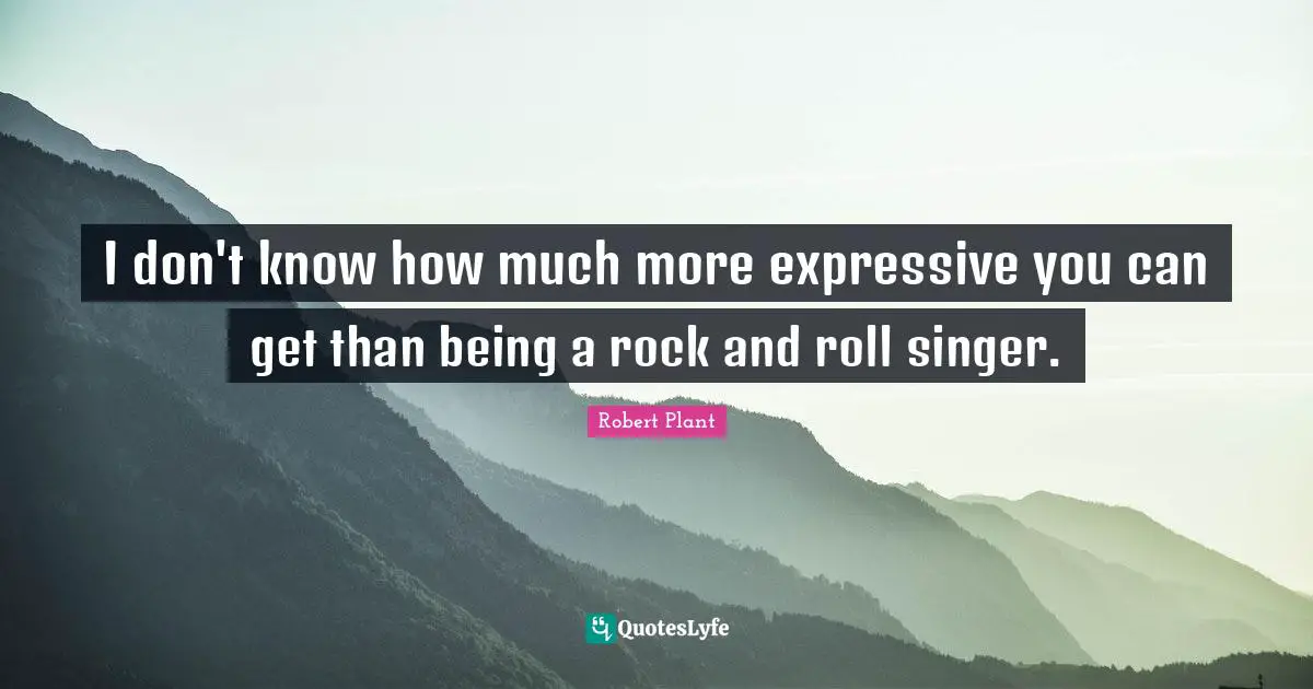 I don't know how much more expressive you can get than being a rock and roll singer.