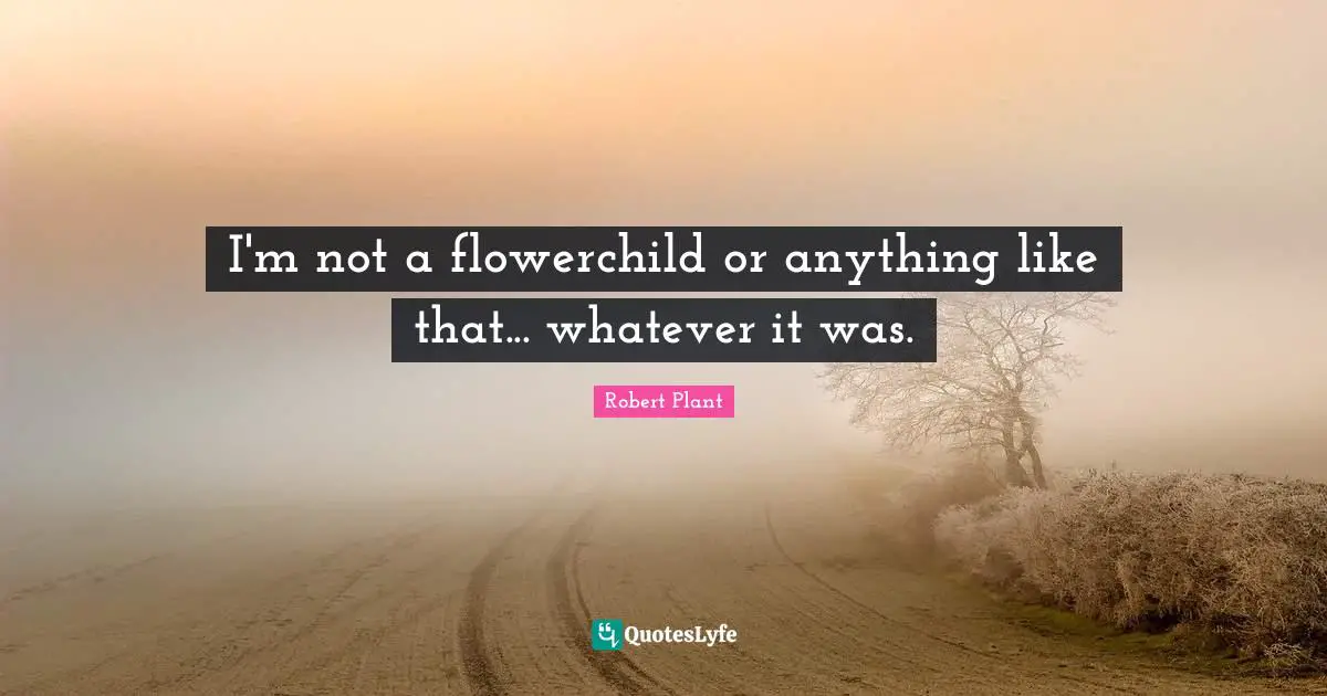 I'm not a flowerchild or anything like that... whatever it was.