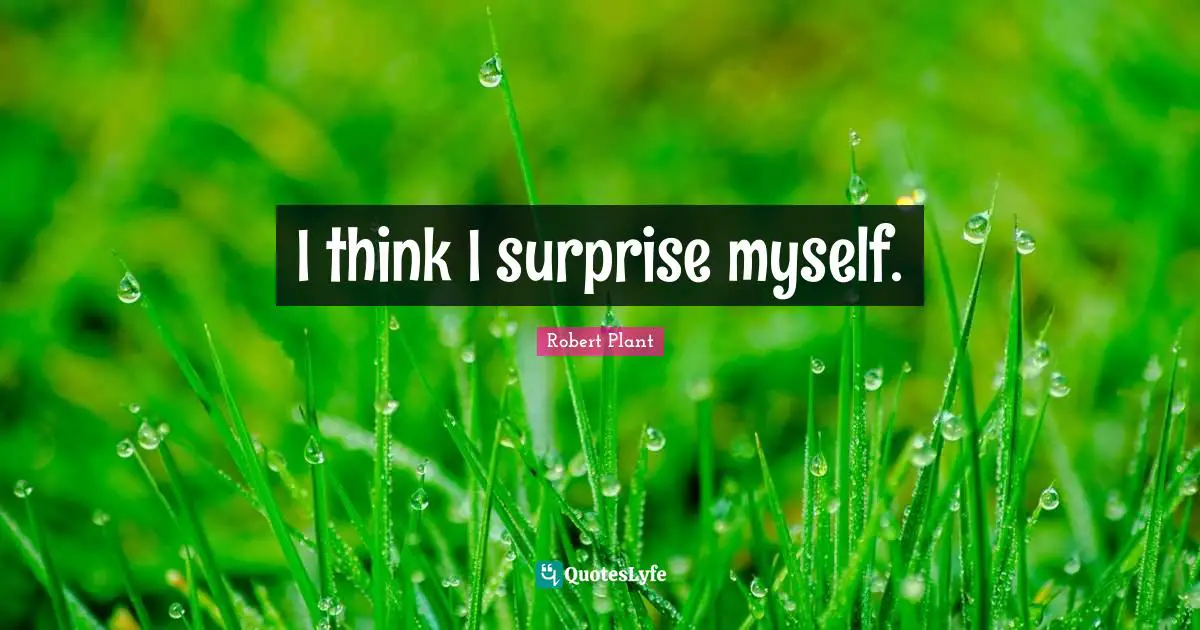 I think I surprise myself.