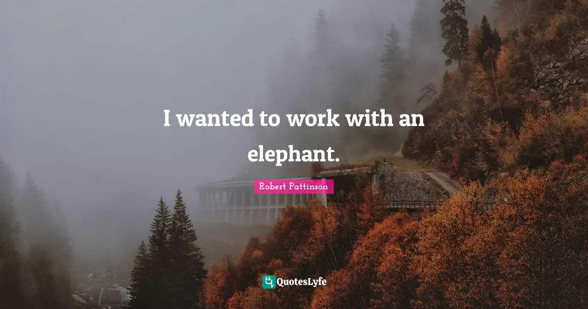 I wanted to work with an elephant.