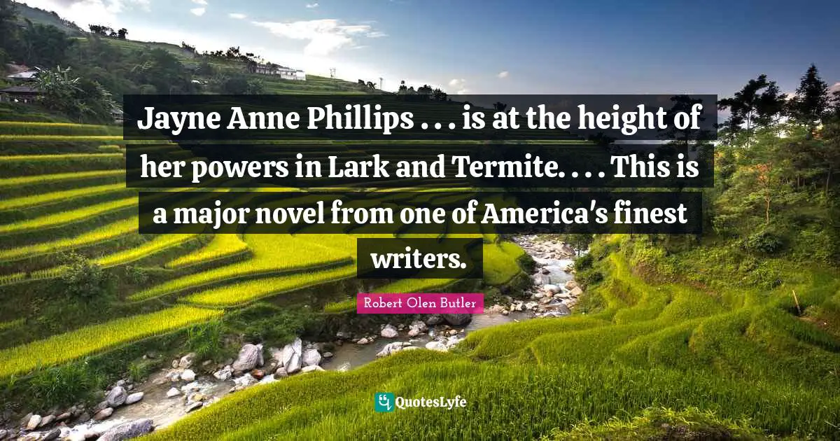 Jayne Anne Phillips . . . is at the height of her powers in Lark and Termite. . . . This is a major novel from one of America's finest writers.