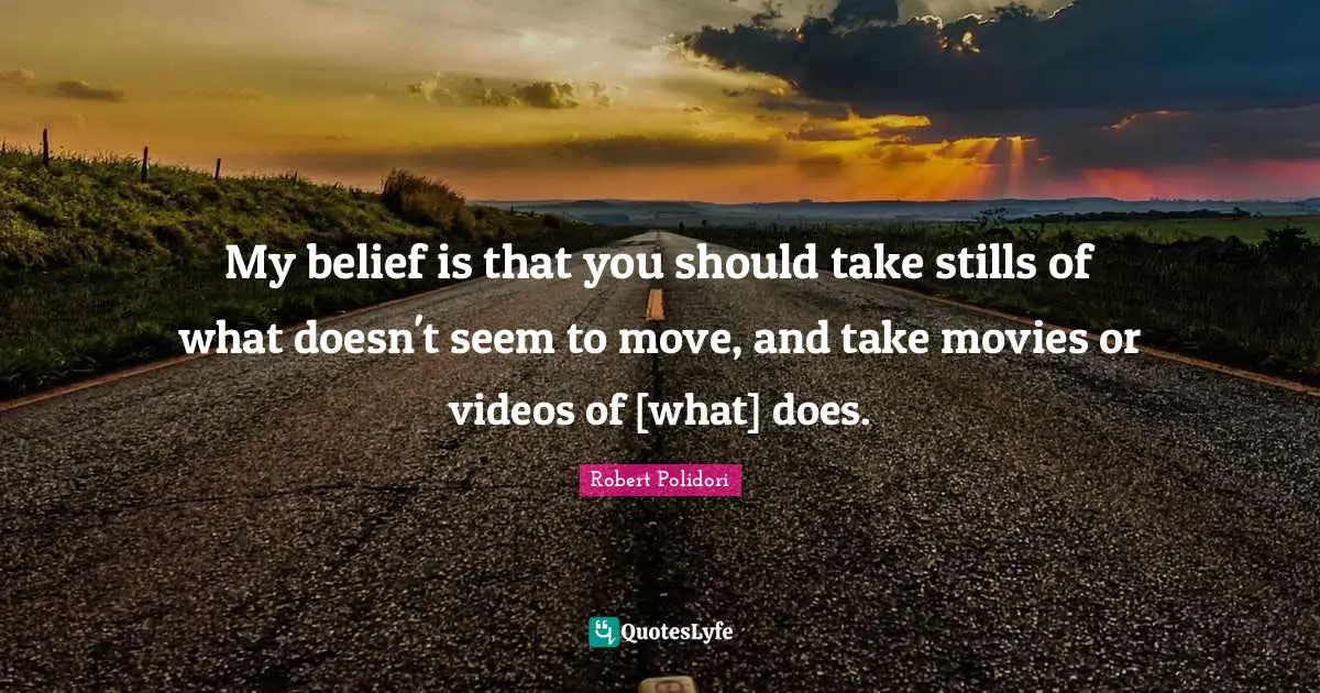 My belief is that you should take stills of what doesn't seem to move, and take movies or videos of [what] does.