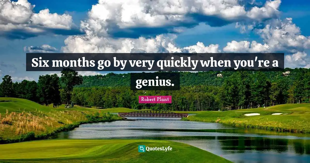 Six Months Quotes: "Six months go by very quickly when you're a genius."