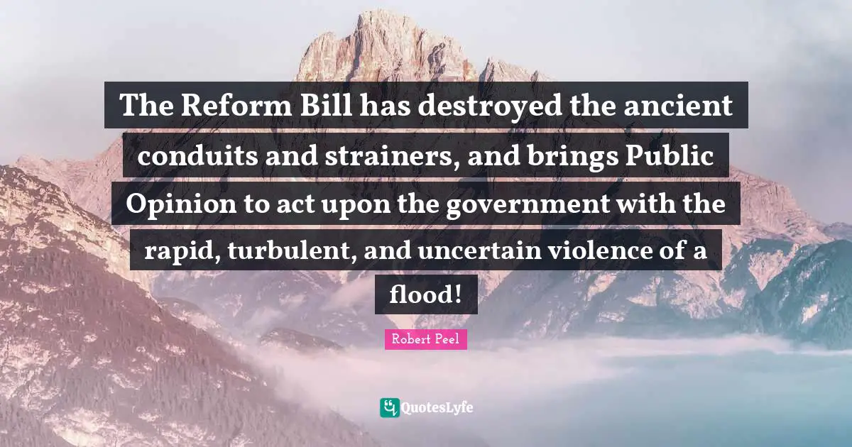 Robert Peel Quotes: "The Reform Bill has destroyed the ancient conduits and strainers, and brings Public Opinion to act upon the government with the rapid, turbulent, and uncertain violence of a flood!"