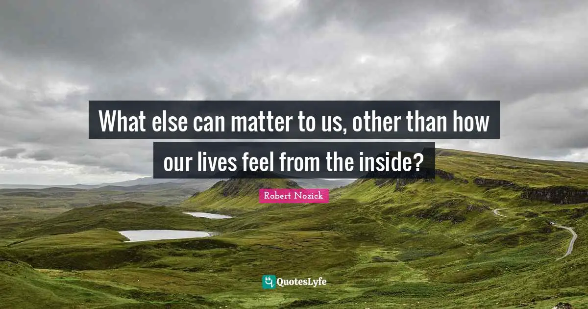 What else can matter to us, other than how our lives feel from the inside?