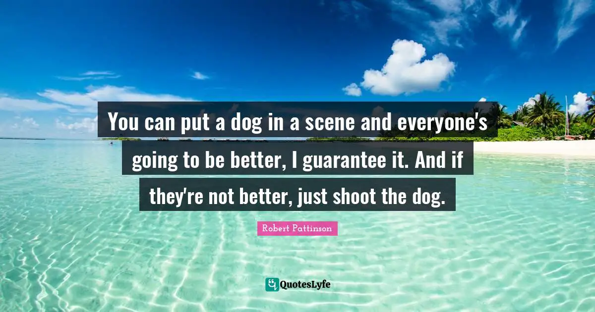 You can put a dog in a scene and everyone's going to be better, I guarantee it. And if they're not better, just shoot the dog.