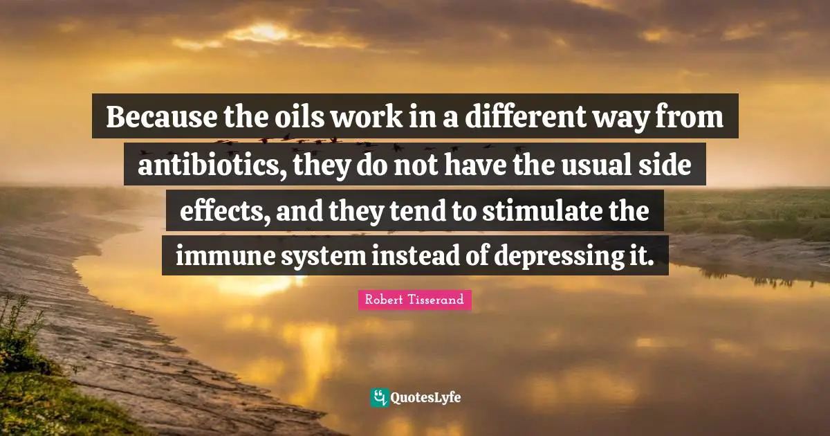 Because the oils work in a different way from antibiotics, they do not have the usual side effects, and they tend to stimulate the immune system instead of depressing it.