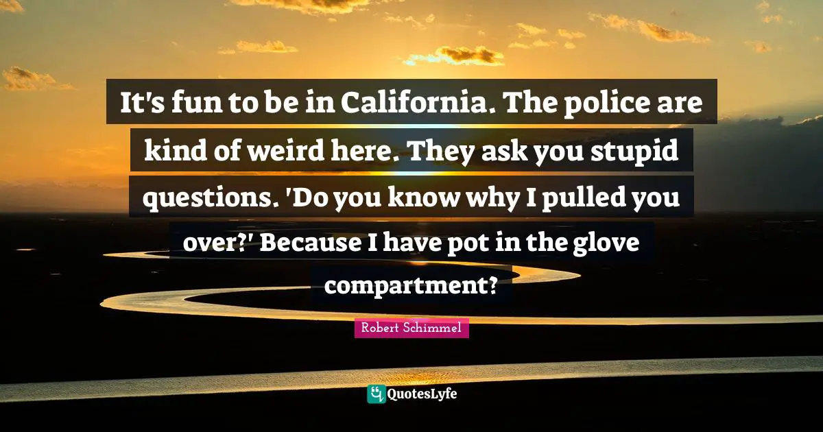 It's fun to be in California. The police are kind of weird here. They ask you stupid questions. 'Do you know why I pulled you over?' Because I have pot in the glove compartment?