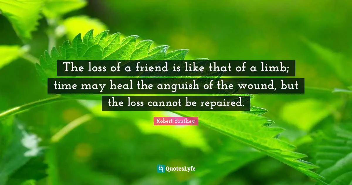Robert Southey Quotes: "The loss of a friend is like that of a limb; time may heal the anguish of the wound, but the loss cannot be repaired."