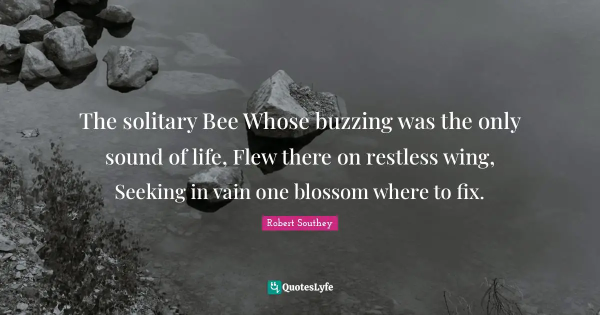 Robert Southey Quotes: "The solitary Bee Whose buzzing was the only sound of life, Flew there on restless wing, Seeking in vain one blossom where to fix."