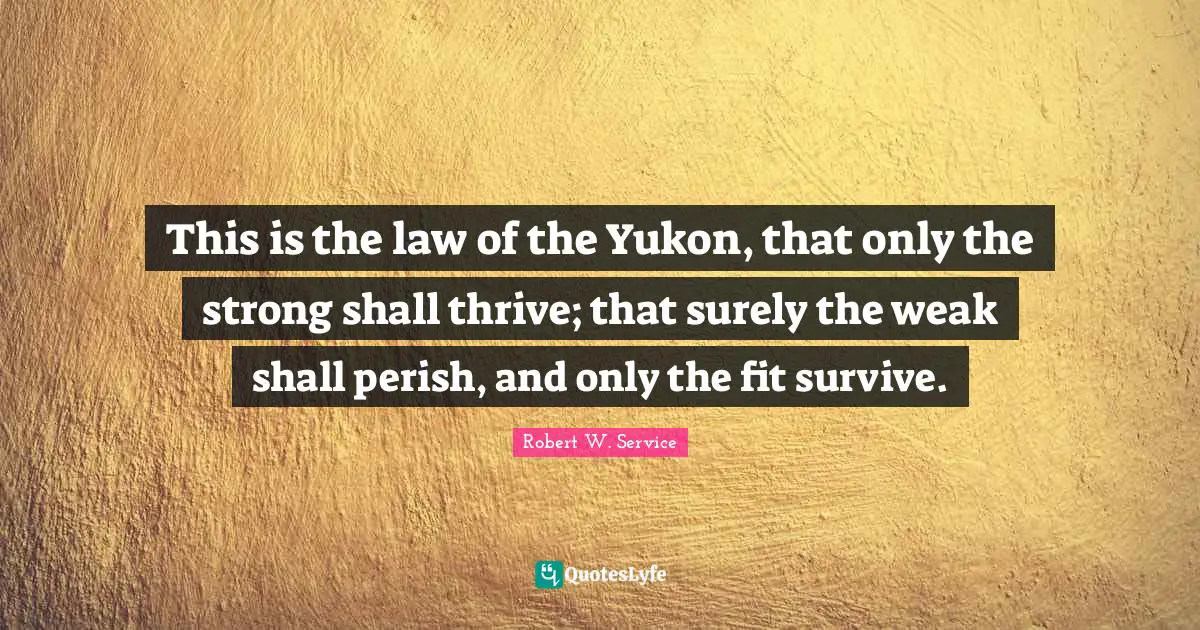This is the law of the Yukon, that only the strong shall thrive; that surely the weak shall perish, and only the fit survive.