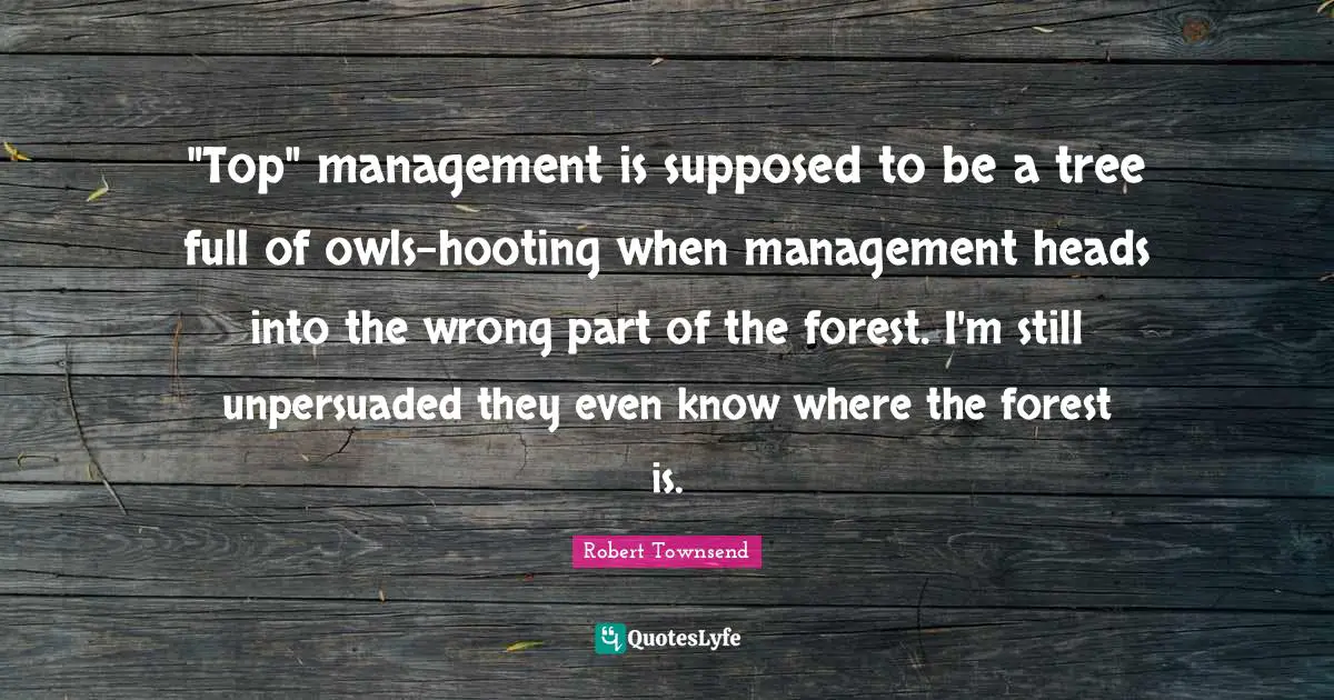 "Top" management is supposed to be a tree full of owls-hooting when management heads into the wrong part of the forest. I'm still unpersuaded they even know where the forest is.