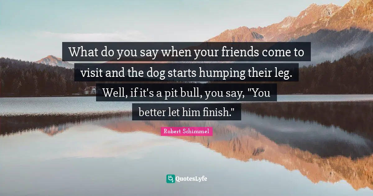Pits Quotes: "What do you say when your friends come to visit and the dog starts humping their leg. Well, if it's a pit bull, you say, "You better let him finish.""