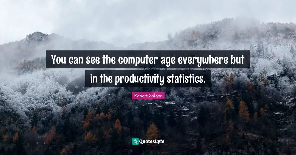 You can see the computer age everywhere but in the productivity statistics.