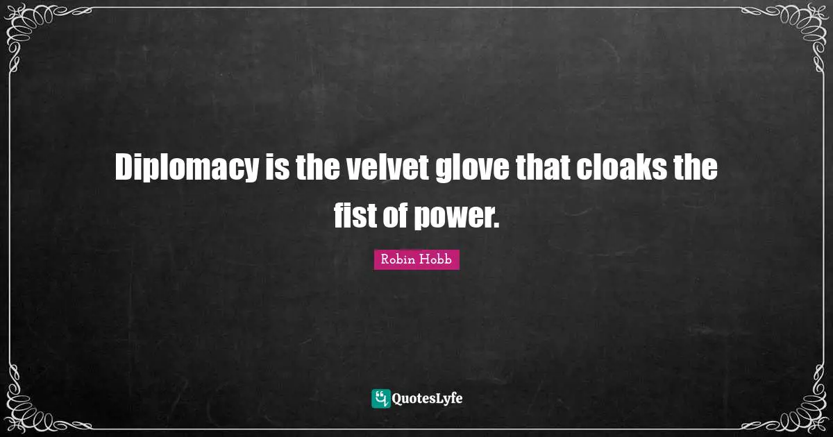 Diplomacy is the velvet glove that cloaks the fist of power.