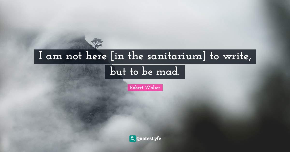 I am not here [in the sanitarium] to write, but to be mad.