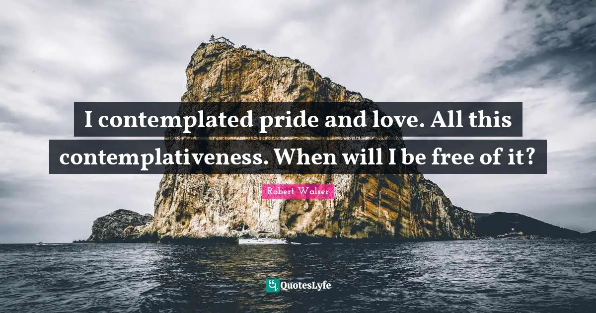 I contemplated pride and love. All this contemplativeness. When will I be free of it?