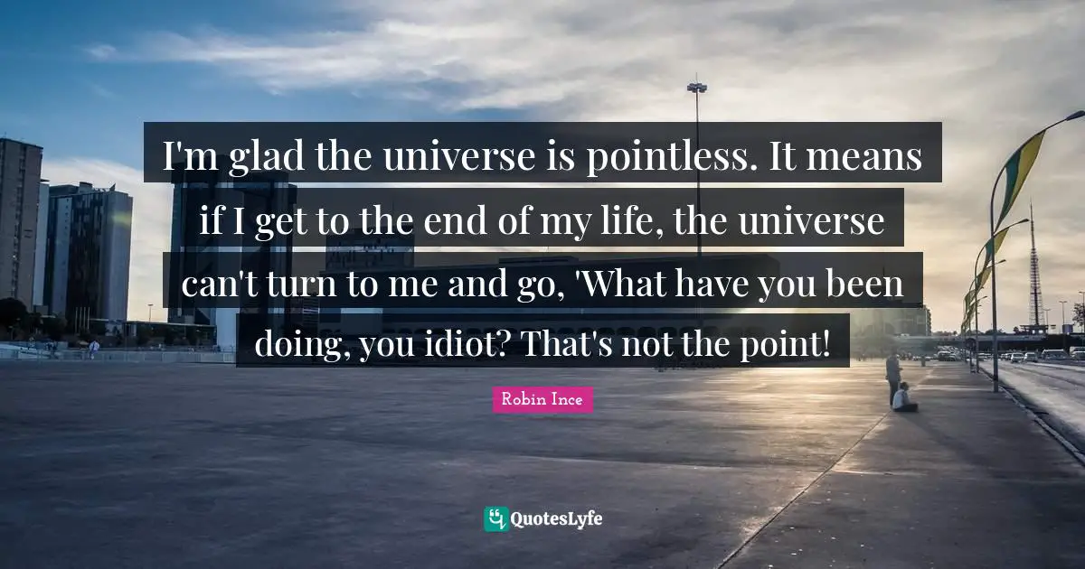 I'm glad the universe is pointless. It means if I get to the end of my life, the universe can't turn to me and go, 'What have you been doing, you idiot? That's not the point!