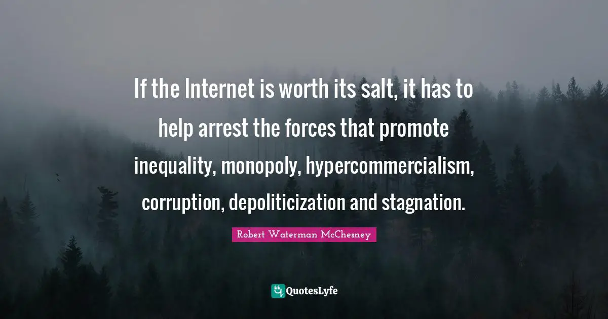 If the Internet is worth its salt, it has to help arrest the forces that promote inequality, monopoly, hypercommercialism, corruption, depoliticization and stagnation.