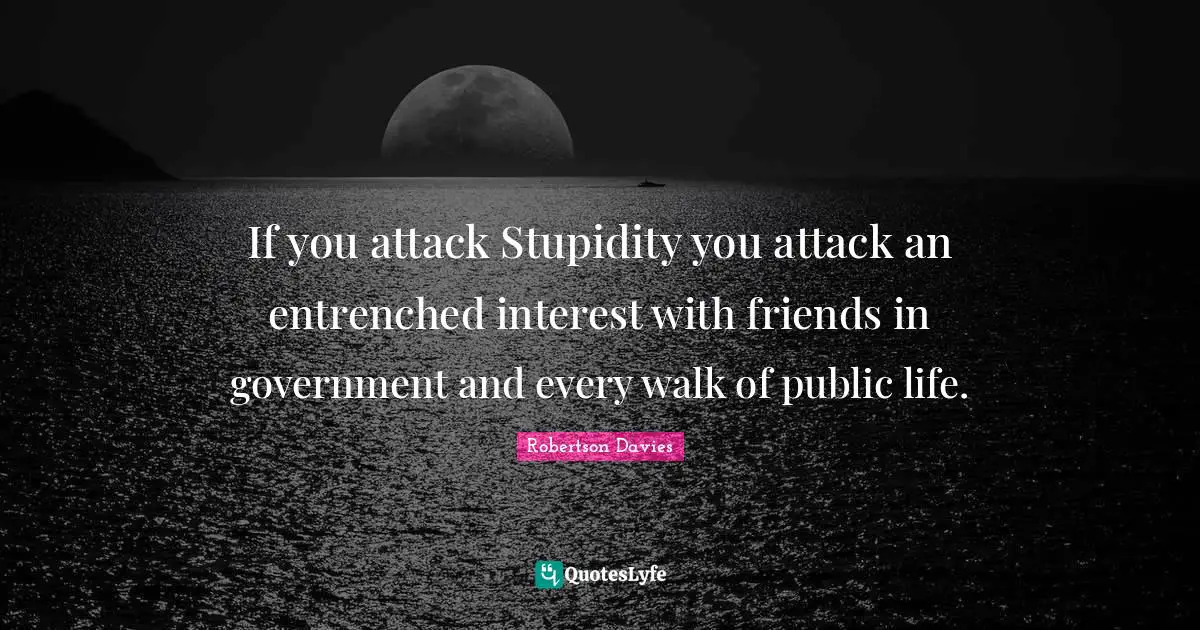If you attack Stupidity you attack an entrenched interest with friends in government and every walk of public life.