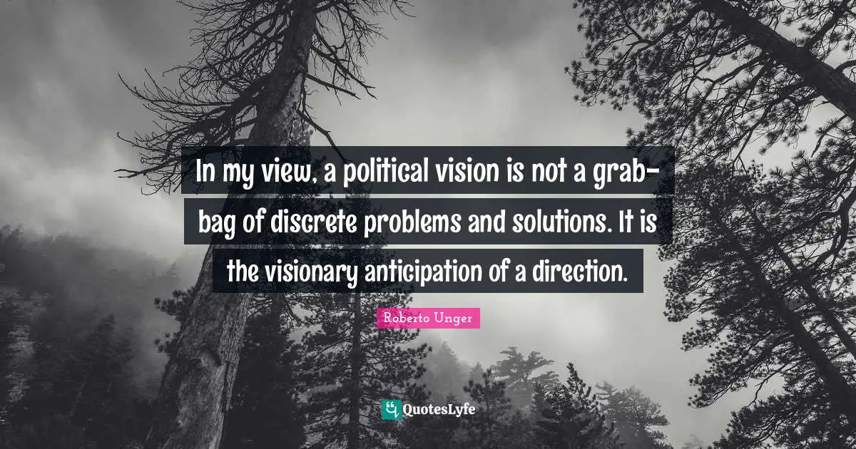 Problems And Solutions Quotes: "In my view, a political vision is not a grab-bag of discrete problems and solutions. It is the visionary anticipation of a direction."