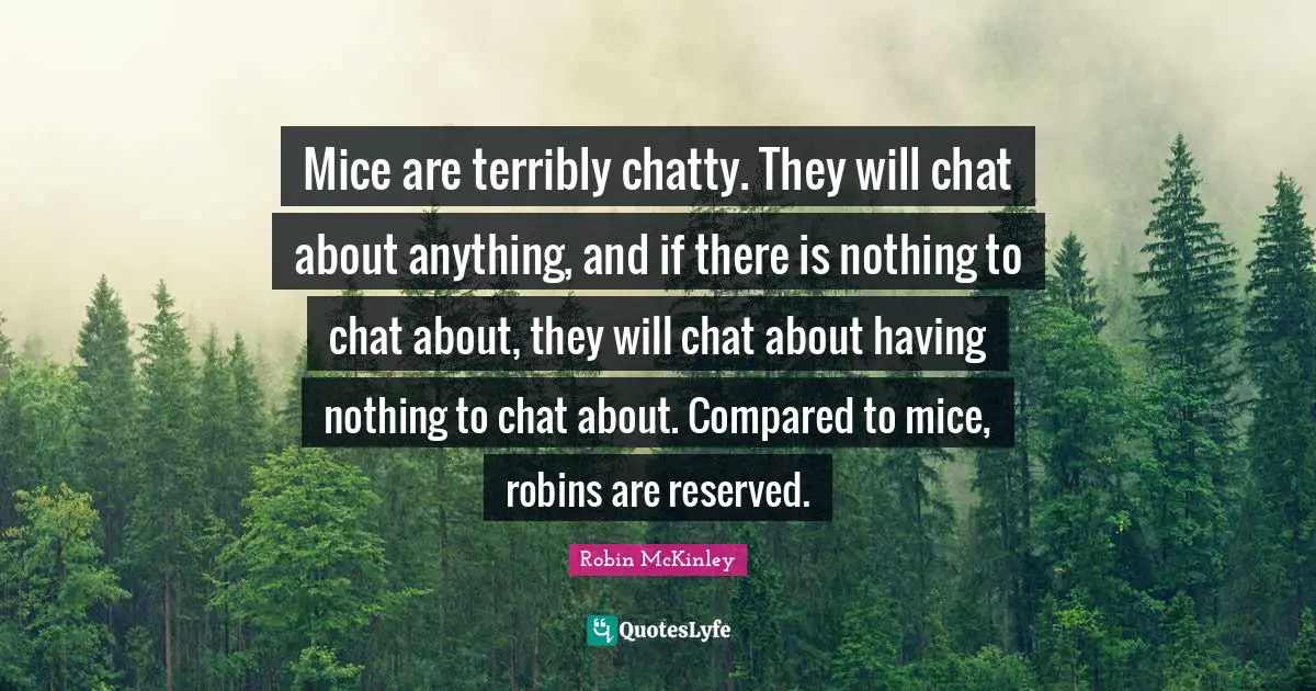 Mice are terribly chatty. They will chat about anything, and if there is nothing to chat about, they will chat about having nothing to chat about. Compared to mice, robins are reserved.