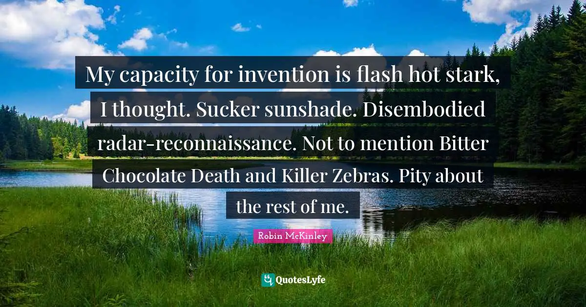 My capacity for invention is flash hot stark, I thought. Sucker sunshade. Disembodied radar-reconnaissance. Not to mention Bitter Chocolate Death and Killer Zebras. Pity about the rest of me.