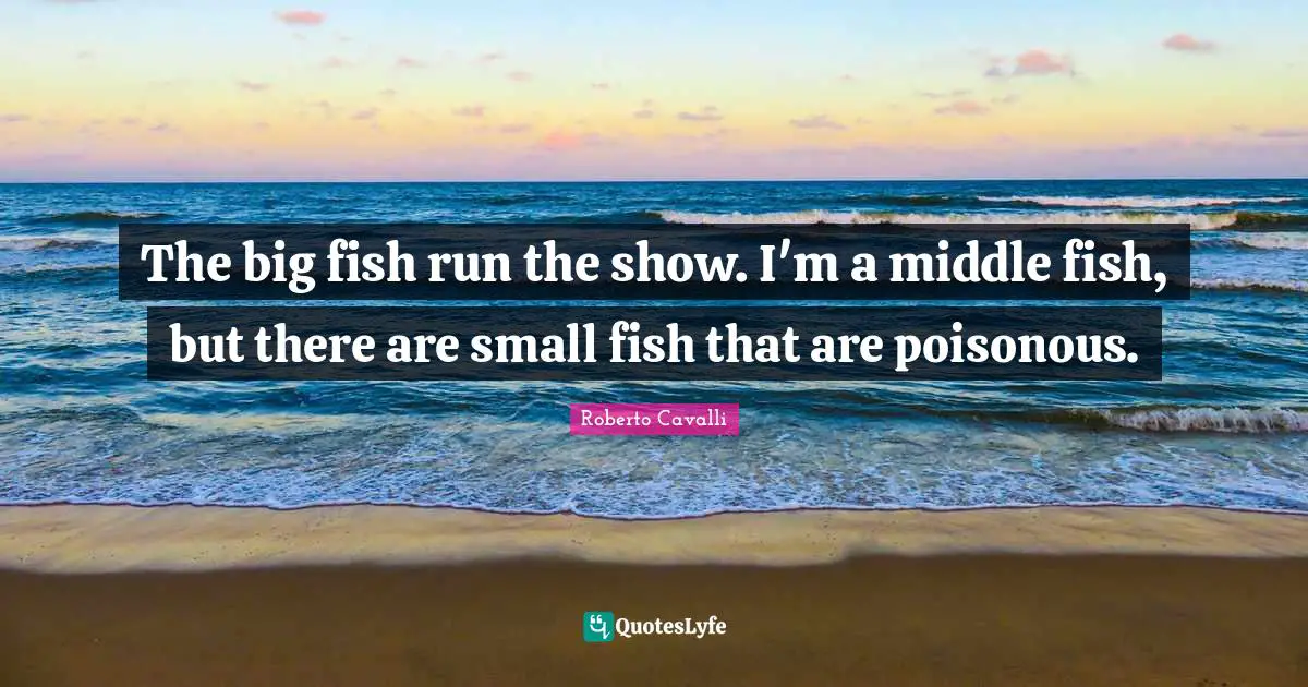 The big fish run the show. I'm a middle fish, but there are small fish that are poisonous.