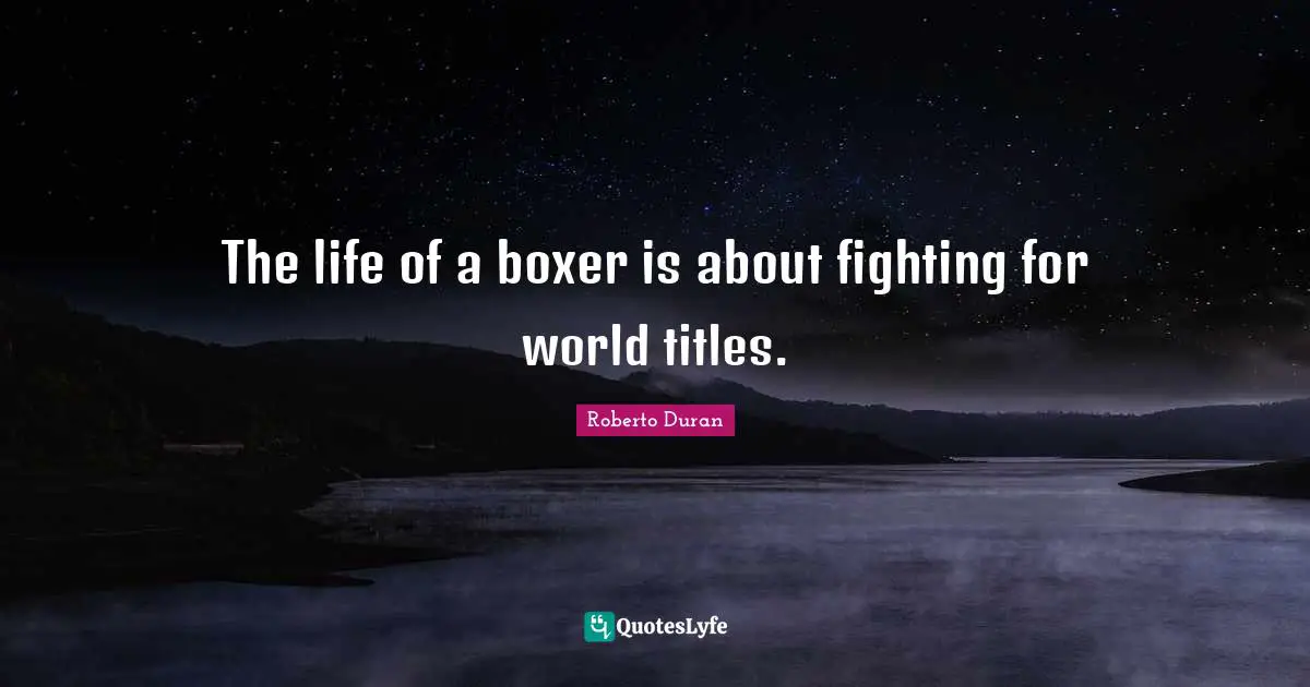 The life of a boxer is about fighting for world titles.