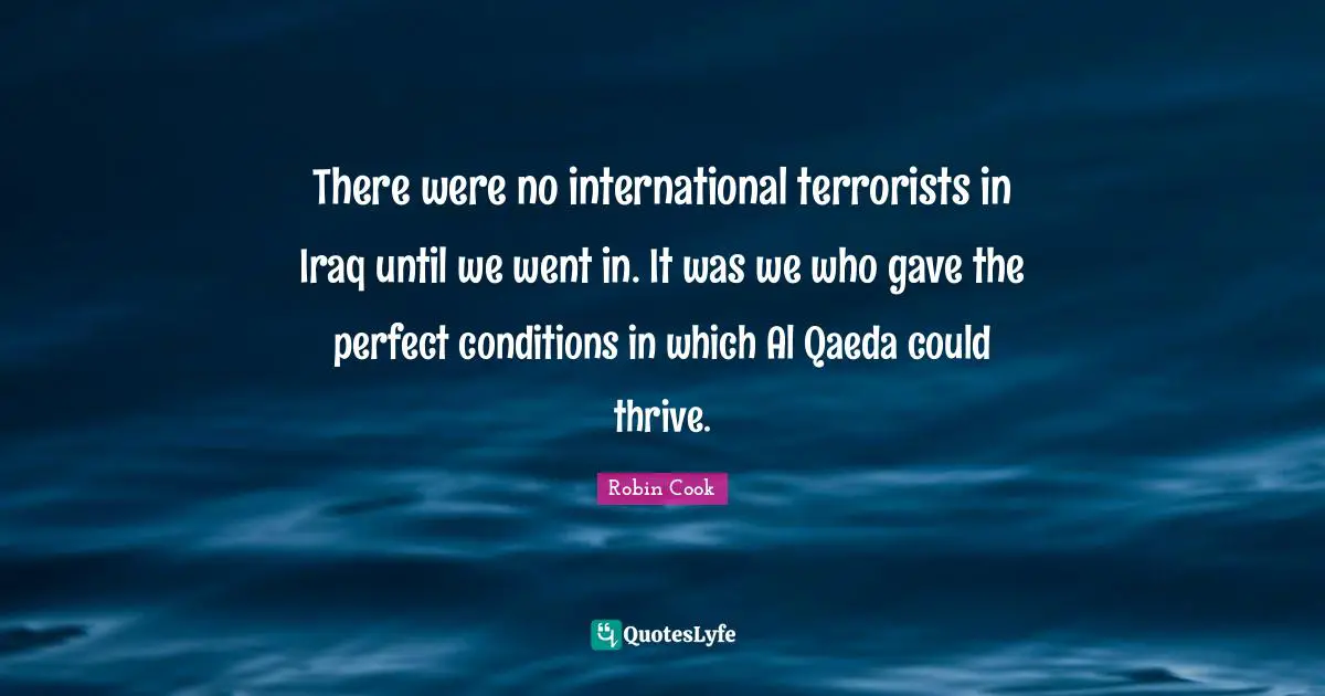 Al Qaeda Quotes: "There were no international terrorists in Iraq until we went in. It was we who gave the perfect conditions in which Al Qaeda could thrive."