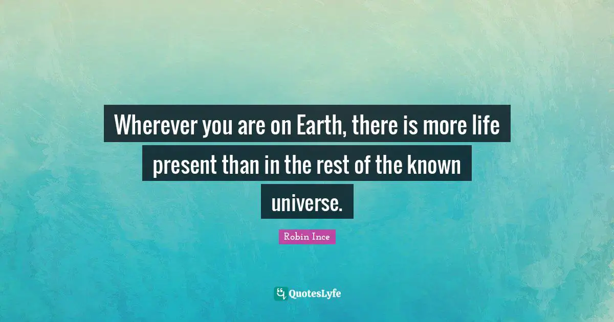 Wherever you are on Earth, there is more life present than in the rest of the known universe.