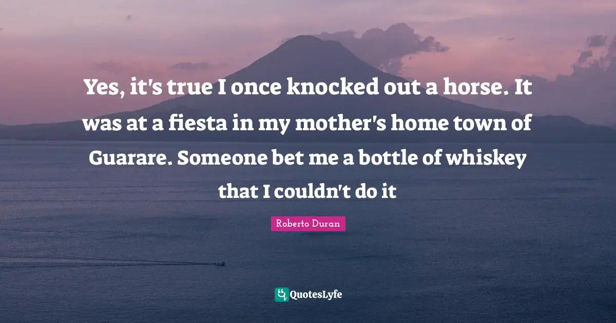 Yes, it's true I once knocked out a horse. It was at a fiesta in my mother's home town of Guarare. Someone bet me a bottle of whiskey that I couldn't do it