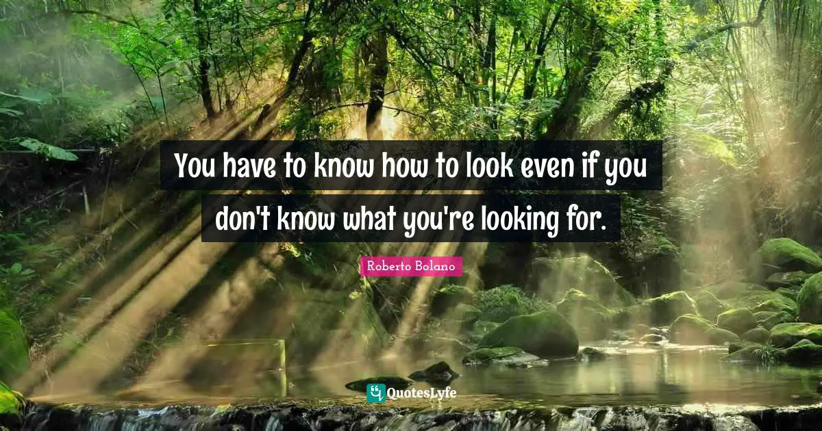 You have to know how to look even if you don't know what you're looking for.